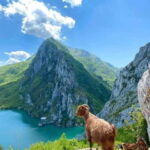 From Tirana: Bovilla Lake and Gamti Mountain Tour - A Closer Look at the Experience