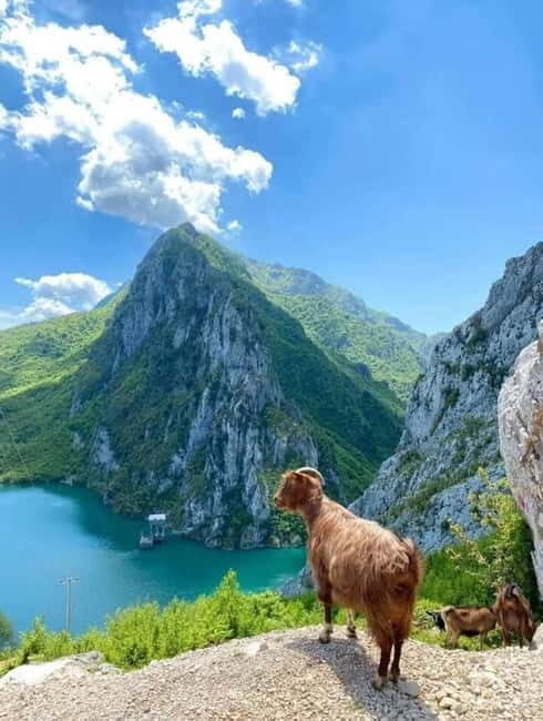 From Tirana: Bovilla Lake and Gamti Mountain Tour - A Closer Look at the Experience