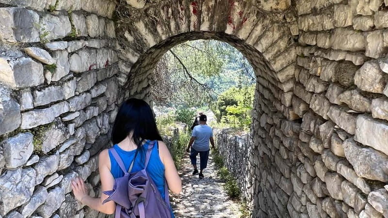 From Tirana: Daily Tour to Berat | UNESCO & Belsh (Winery) - Who Should Consider This Tour?