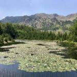 From Tirana: Dibër County Day Trip with Breakfast and Lunch - Potential Drawbacks