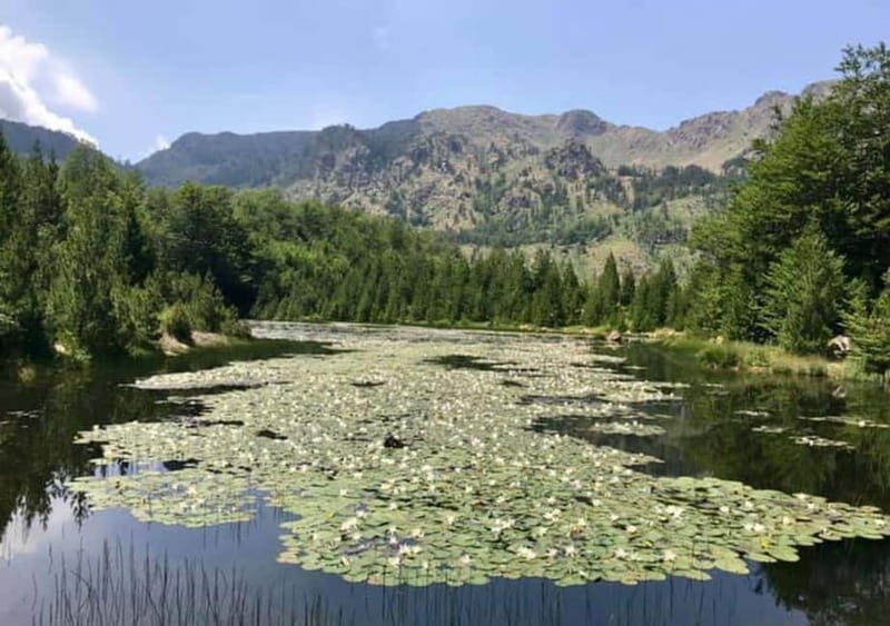 From Tirana: Dibër County Day Trip with Breakfast and Lunch - Potential Drawbacks
