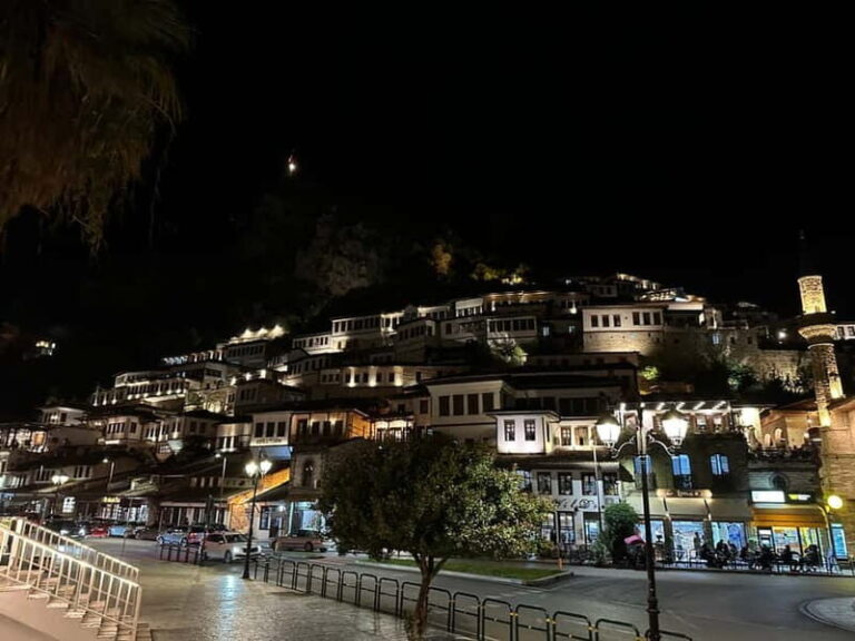 From Tirana & Durres: Day trip to Berat and Belshi Lake - Who Should Consider This Tour?