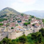 From Tirana/Durres/Golem: Berat Town & Belshi Lake Day Tour - Why You Should Consider This Tour