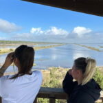 From Tirana/Durres : Karavasta Lagoon 4x4 Offroad Tour. - An In-Depth Look at the Tour Experience