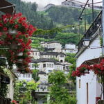 From Tirana: Gjirokastër Day Trip with Guided Tour - Who Should Consider This Tour?