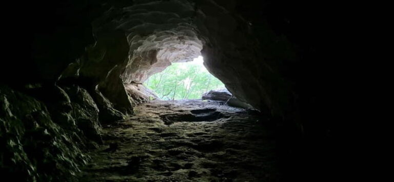 From Tirana: Hiking to Pellumbas Cave & Erzeni Canyon - Why This Tour Offers Excellent Value