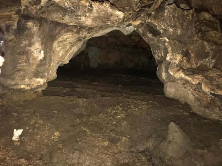 From Tirana: Hiking to Pellumbas Cave & visiting the Canyon - A Detailed Look at the Pellumbas Cave & Canyon Tour