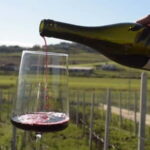 From Tirana: Wine Tasting & Durres Small Group Tour - Is This Tour Worth It?