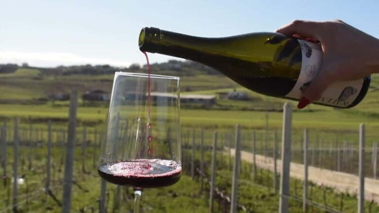 From Tirana: Wine Tasting & Durres Small Group Tour - Is This Tour Worth It?