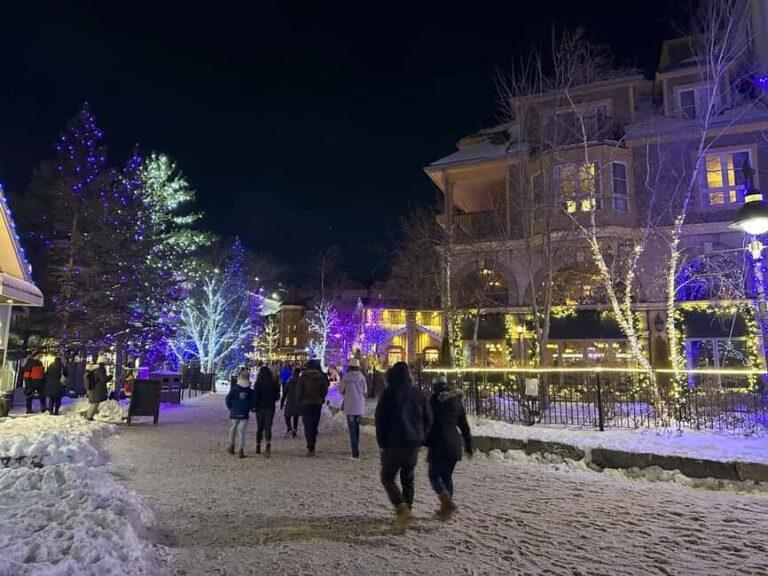 From Toronto: Blue Mountain Day Trip Skiing Snowboarding - Who Will Love This Trip?