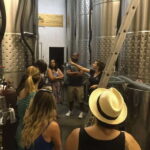 From Toronto: Niagara Wine Tours - Who Should Consider This Tour?