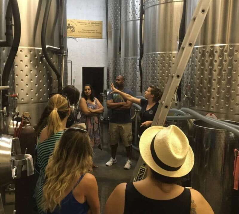 From Toronto: Niagara Wine Tours - Who Should Consider This Tour?