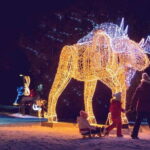 From Toronto: Winter Festival of Lights Niagara Falls Tour - A Detailed Look at the Niagara Falls Winter Festival of Lights Tour