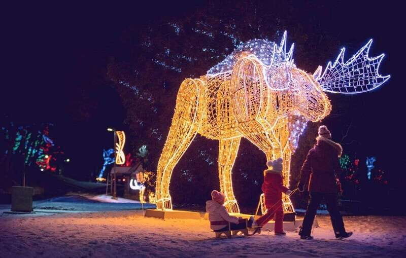 From Toronto: Winter Festival of Lights Niagara Falls Tour - A Detailed Look at the Niagara Falls Winter Festival of Lights Tour