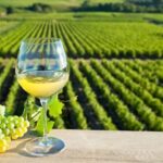 From Tours: Loire Valley Wineries Day Trip with Tastings - The Sum Up
