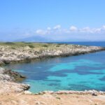 From Trapani: Cruise to Favignana and Levanzo with lunch - Who Will Love This Tour?