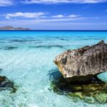 From Trapani: Favignana and Levanzo Mini Cruise with Lunch - Who Will Love This Tour?