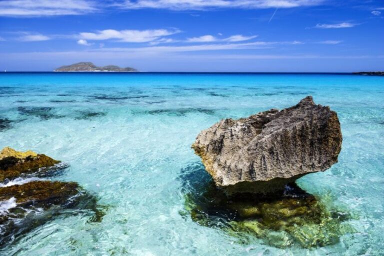 From Trapani: Favignana and Levanzo Mini Cruise with Lunch - Who Will Love This Tour?