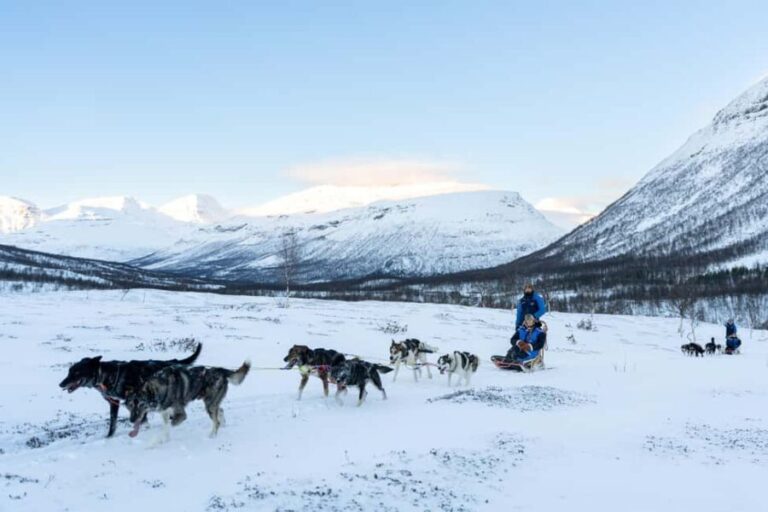 From Tromsø: Advanced Dog Sledding Daytime & Snow Park Visit - An In-Depth Look at the Experience