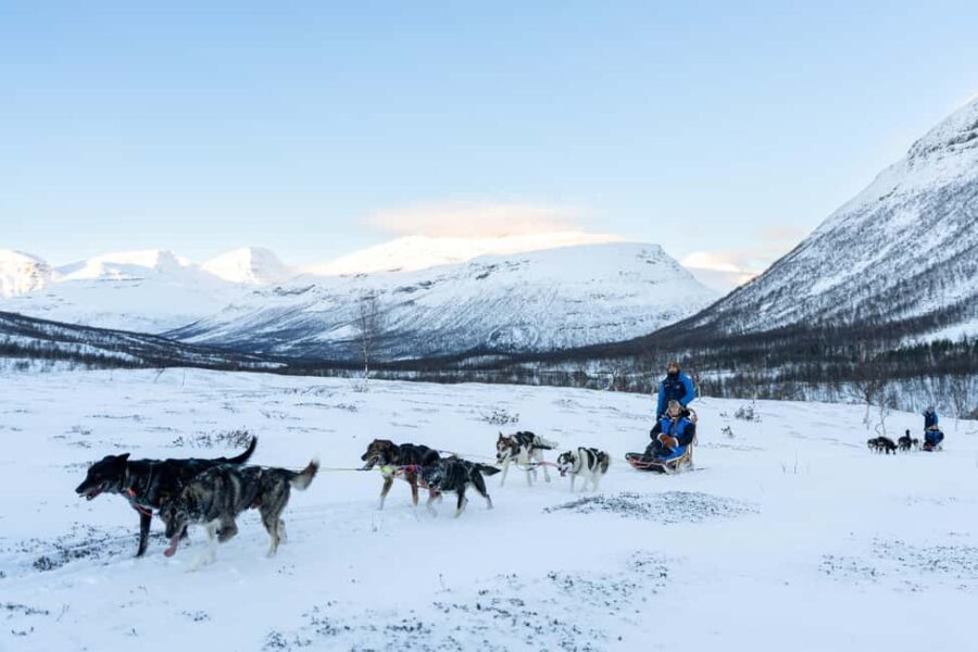 From Tromsø: Advanced Dog Sledding Daytime & Snow Park Visit - An In-Depth Look at the Experience