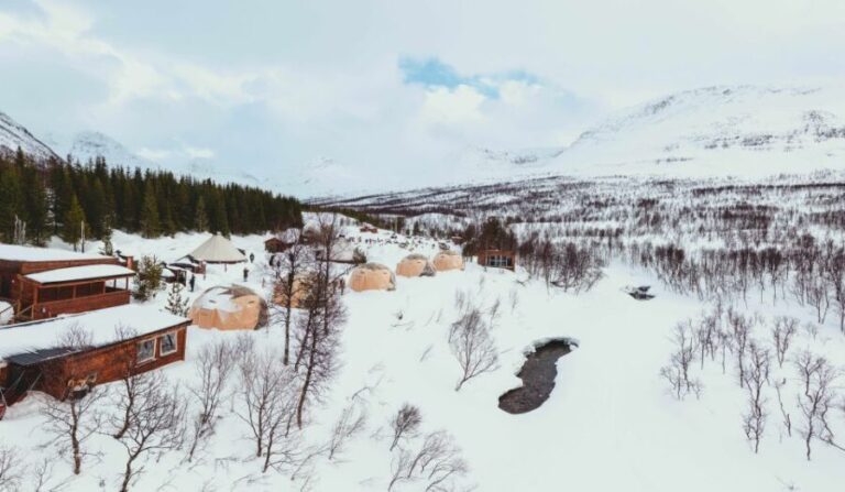 From Tromsø: Daytime Reindeer Sledding at Camp Tamok - Exploring the Experience in Detail