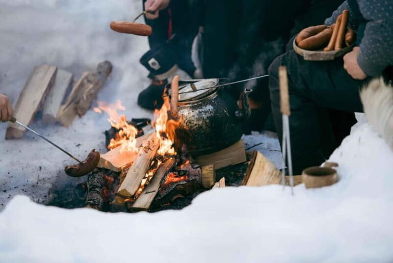 From Tromsø: Daytime Snowshoeing and Snow Park Visit - What to Expect: A Step-by-Step Breakdown