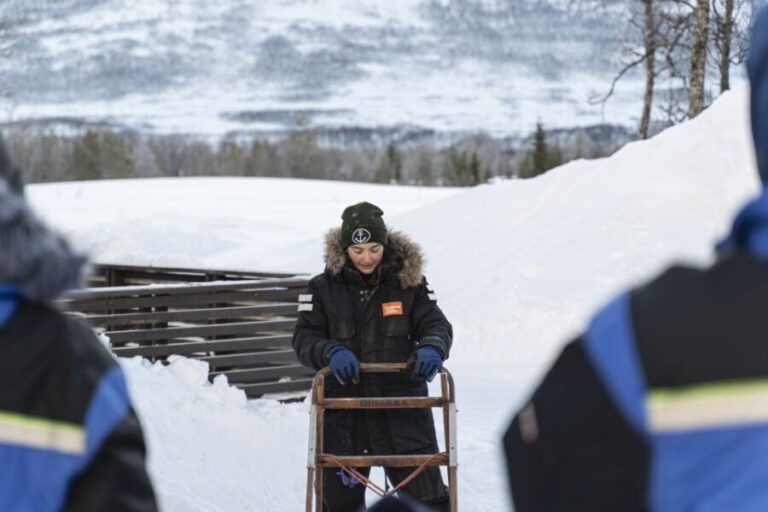 From Tromsø: Fun and Easy Dog Sledding Adventure - Exploring the Experience in Detail