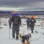 From Tromsø: Guided Husky Snowshoe Hike and Husky Camp Visit - The Value of This Arctic Adventure