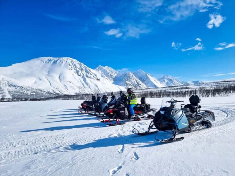 From Tromsø: Lyngen Alps Guided Snowmobile Tour - Key Points