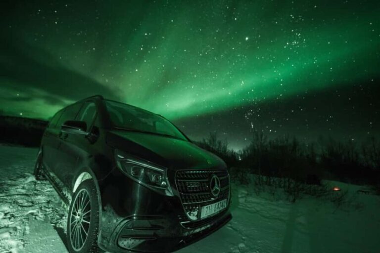 From Tromsø: Northern Lights Chase - The Experience in Detail