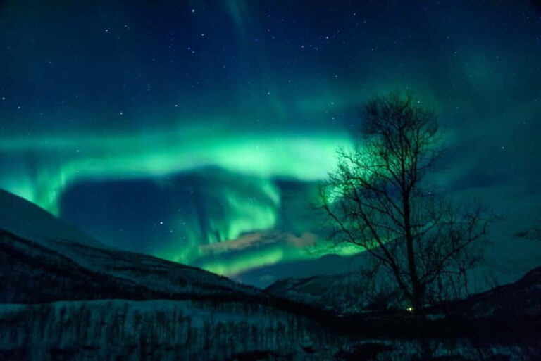 From Tromsø: Northern Lights Guided Bus Chase - Price and Value