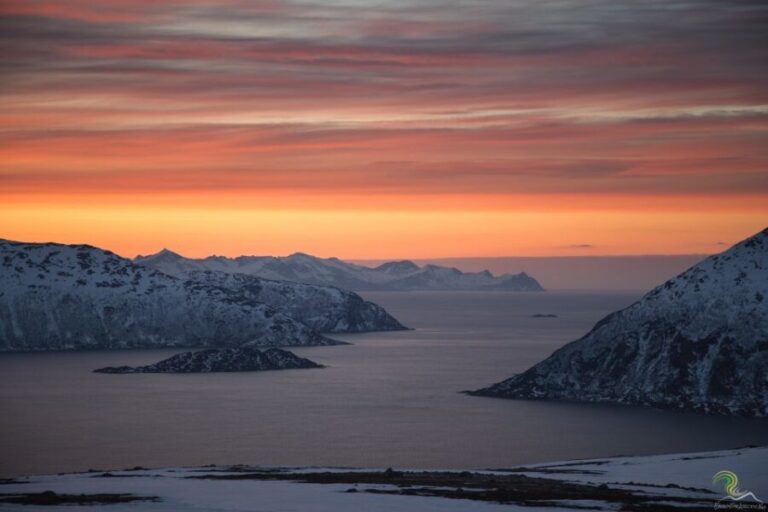 From Tromso: Norwegian Fjords Half-Day Tour - Exploring Tromso’s Fjords: What You Can Expect