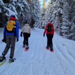 From Tromsø: Snowshoe Hike in the Arctic - What the Tour Includes and What to Keep in Mind