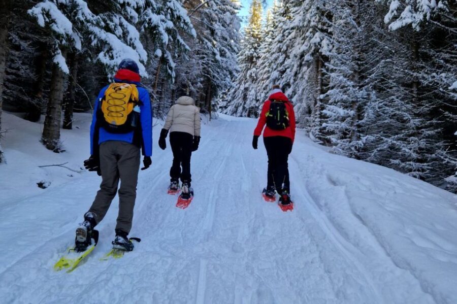 From Tromsø: Snowshoe Hike in the Arctic - What the Tour Includes and What to Keep in Mind
