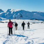 From Tromsø: Snowshoeing Hike with Picnic Lunch and Photos - An In-Depth Look at the Tromsø Snowshoeing Experience