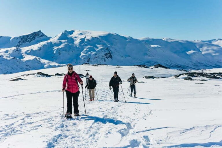 From Tromsø: Snowshoeing Hike with Picnic Lunch and Photos - An In-Depth Look at the Tromsø Snowshoeing Experience