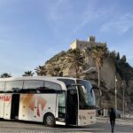 From Tropea: Reggio and Scilla Daily Tour - Practical Tips for Making the Most of This Tour