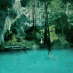 From Tulum: Cenote Riviera Maya & Snorkel Excursion - Who Will Love This Tour?