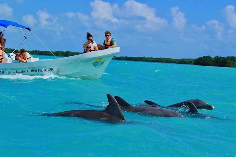 From Tulum: Sian Kaan Day Tour - Who Is This Tour Best For?