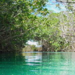 From Tulum: Sian KaAn Muyil Lagoon Tour - Key Points