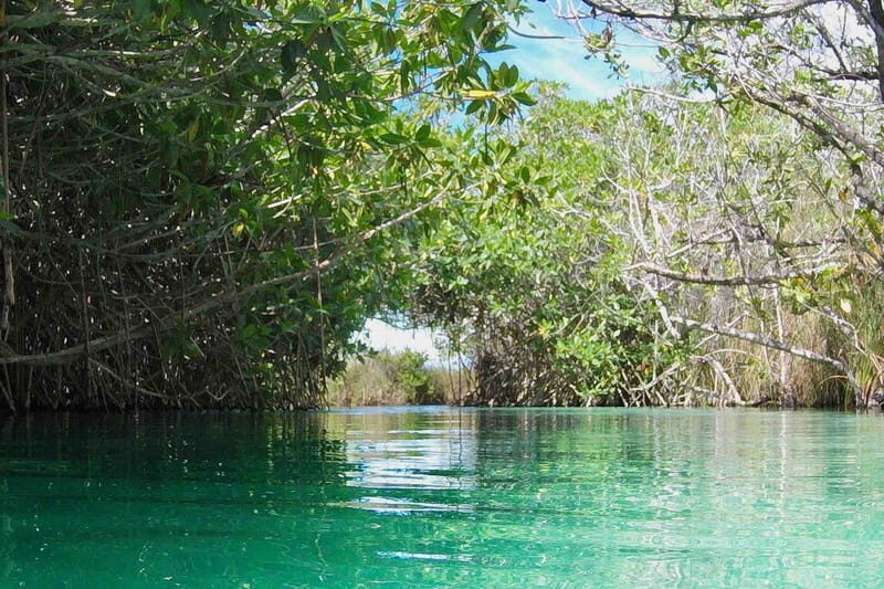 From Tulum: Sian KaAn Muyil Lagoon Tour - Key Points