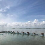 From Tulum: SUP Yoga Class in Sian Ka'an - The Equipment and Instruction