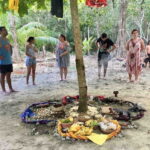 From Tulum: Temazcal & Cenote Private Experience - Is This Tour Worth It?