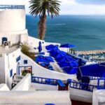 From Tunis/Sousse: Medina Carthage, Sidi Boussaid Tour - Who Should Consider This Tour?