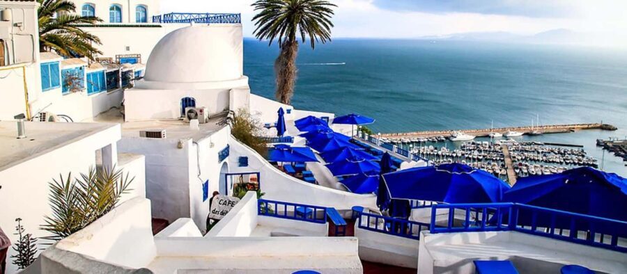 From Tunis/Sousse: Medina Carthage, Sidi Boussaid Tour - Who Should Consider This Tour?