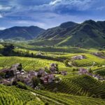From Venice : Wine and Food tour in the Prosecco Hills - Why This Tour Offers Real Value