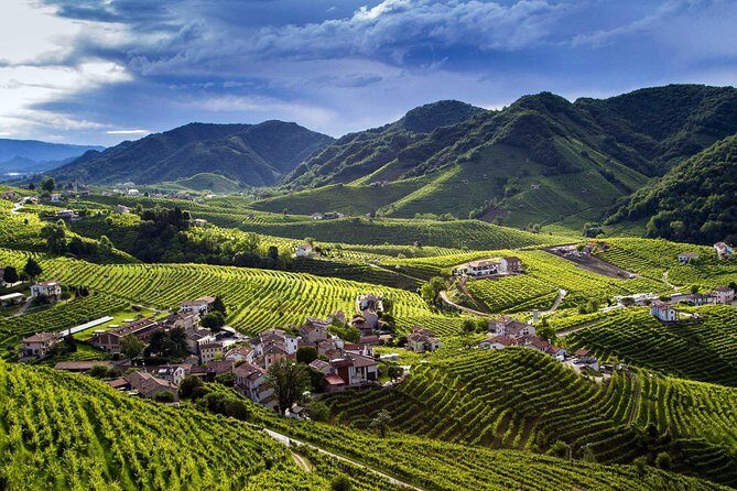 From Venice : Wine and Food tour in the Prosecco Hills - Why This Tour Offers Real Value
