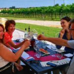 From Venice: Wine Tour in the Euganean Hills - Authenticity and the Experience