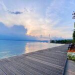 From Verona: private trip to Sirmione Lake Garda & Valpolicella Wine Region - The Vineyards and Winemaking in Valpolicella