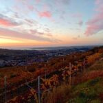 From Verona: Prosecco & Classic method sparkling wine tour, with light lunch - An in-depth look at the Prosecco & sparkling wine tour from Verona